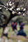 sight-4